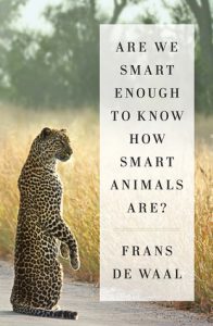 are-we-smart-enough-to-know-how-smart-animals-are